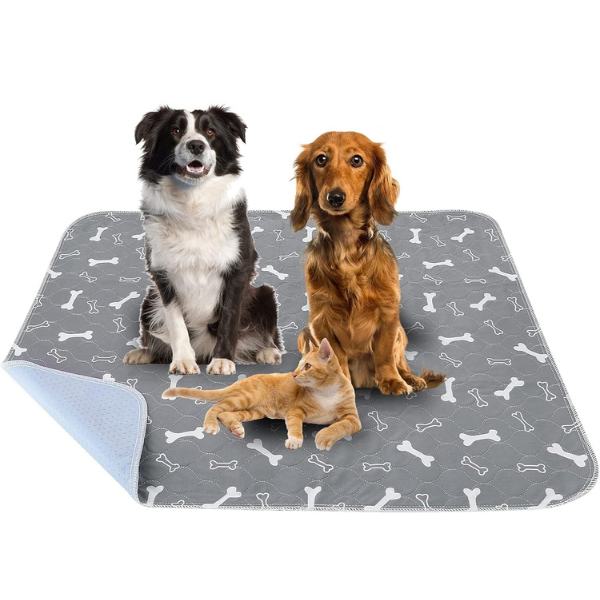 2 Tappetini Lavabili per Cani