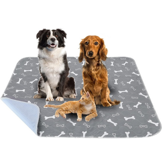 4 Tappetini Lavabili per Cani