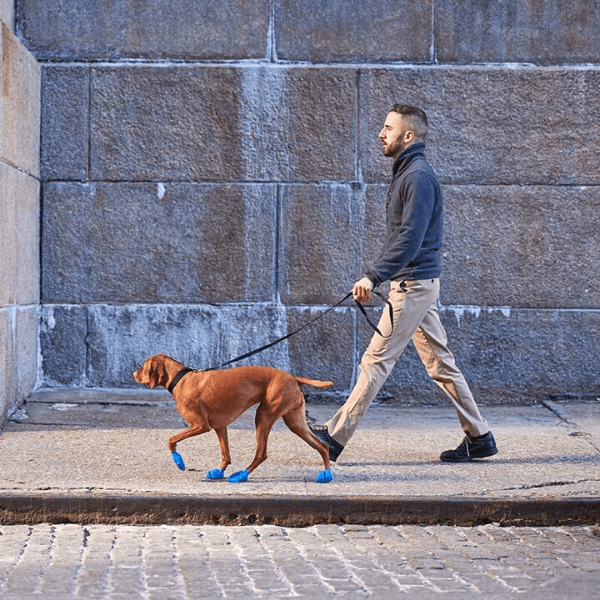 Scarpette per Cani - Taglia L